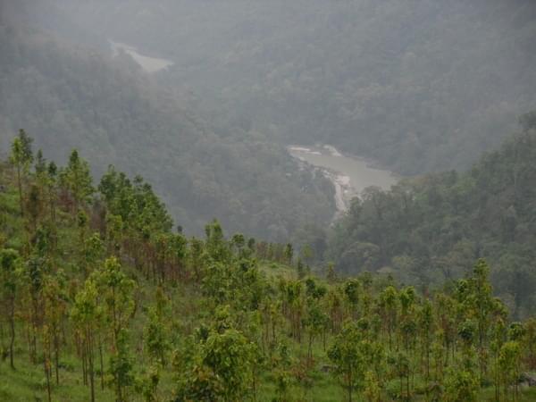 Darjeeling Universal Campus Facility & Environment photo 10